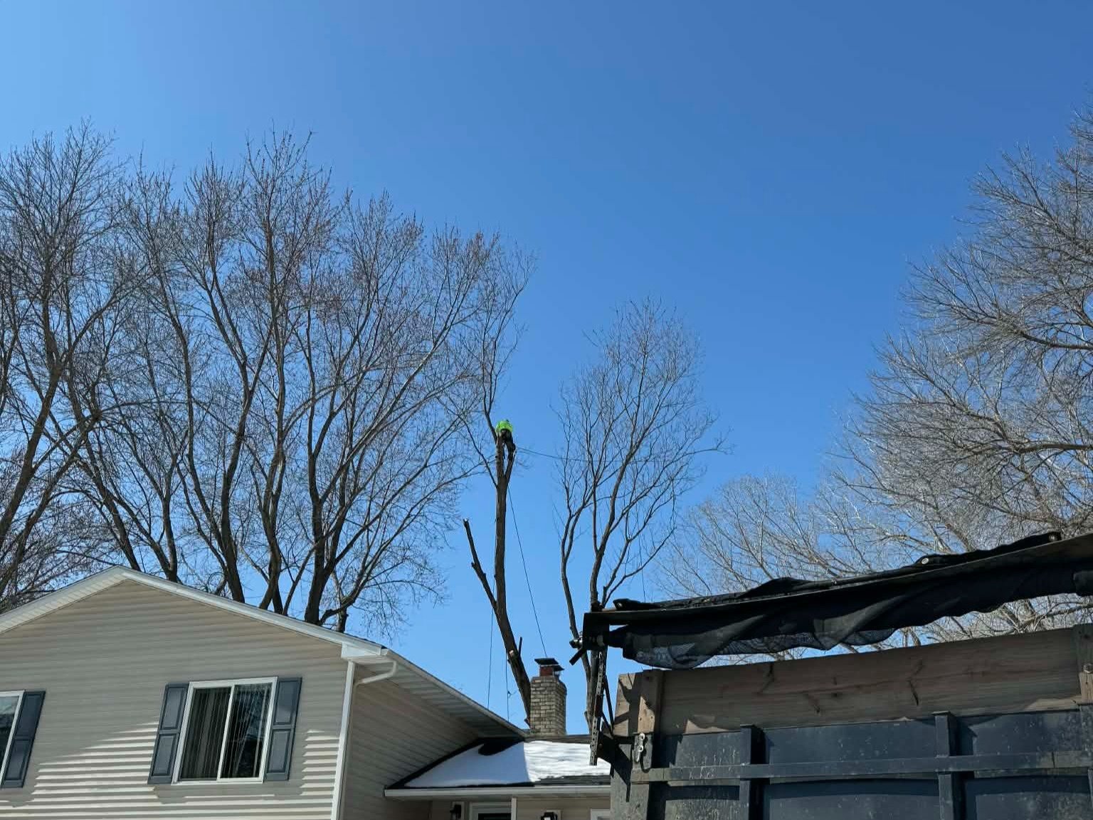 Geo Tree Services