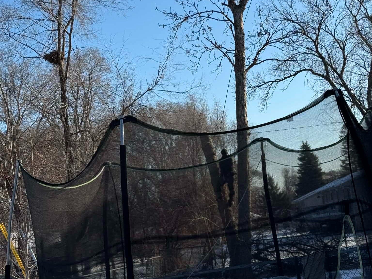 Geo Tree Services