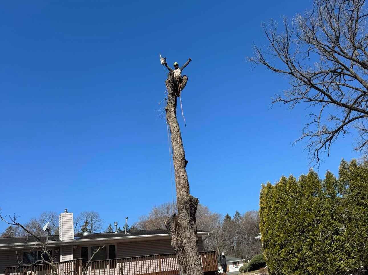 Geo Tree Services