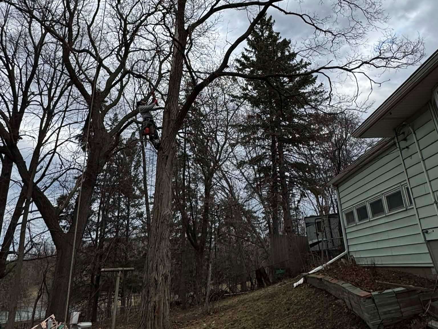 Geo Tree Services