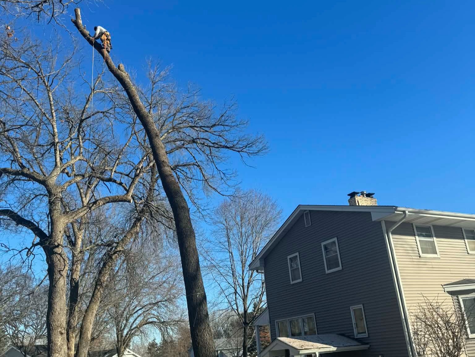 Geo Tree Services