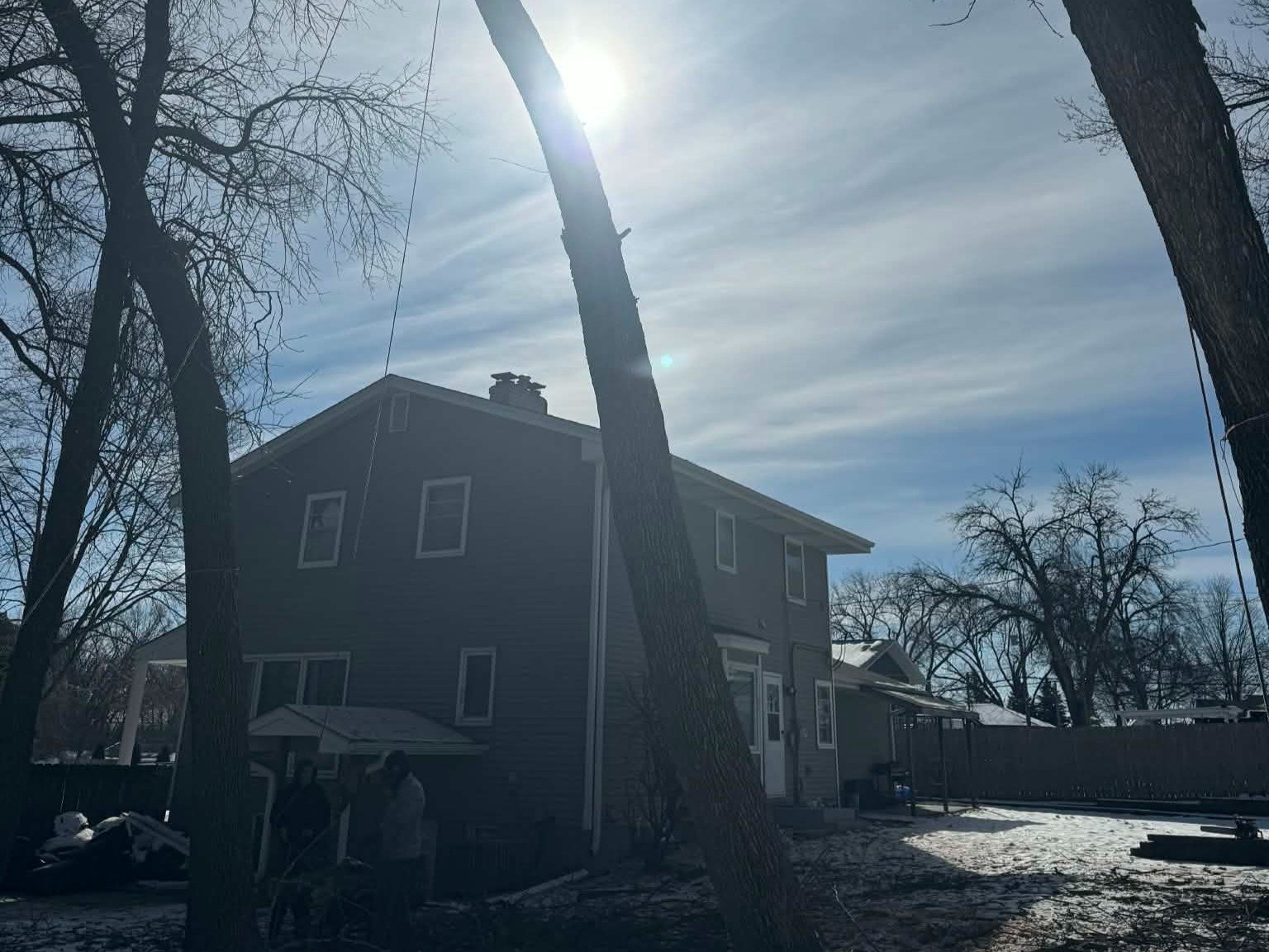 Geo Tree Services