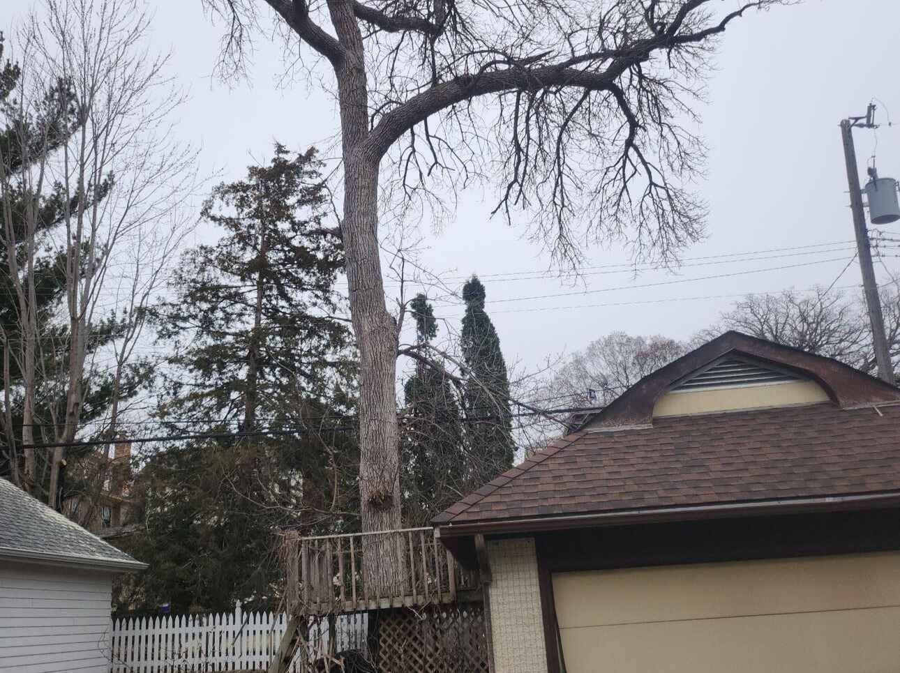 Geo Tree Services