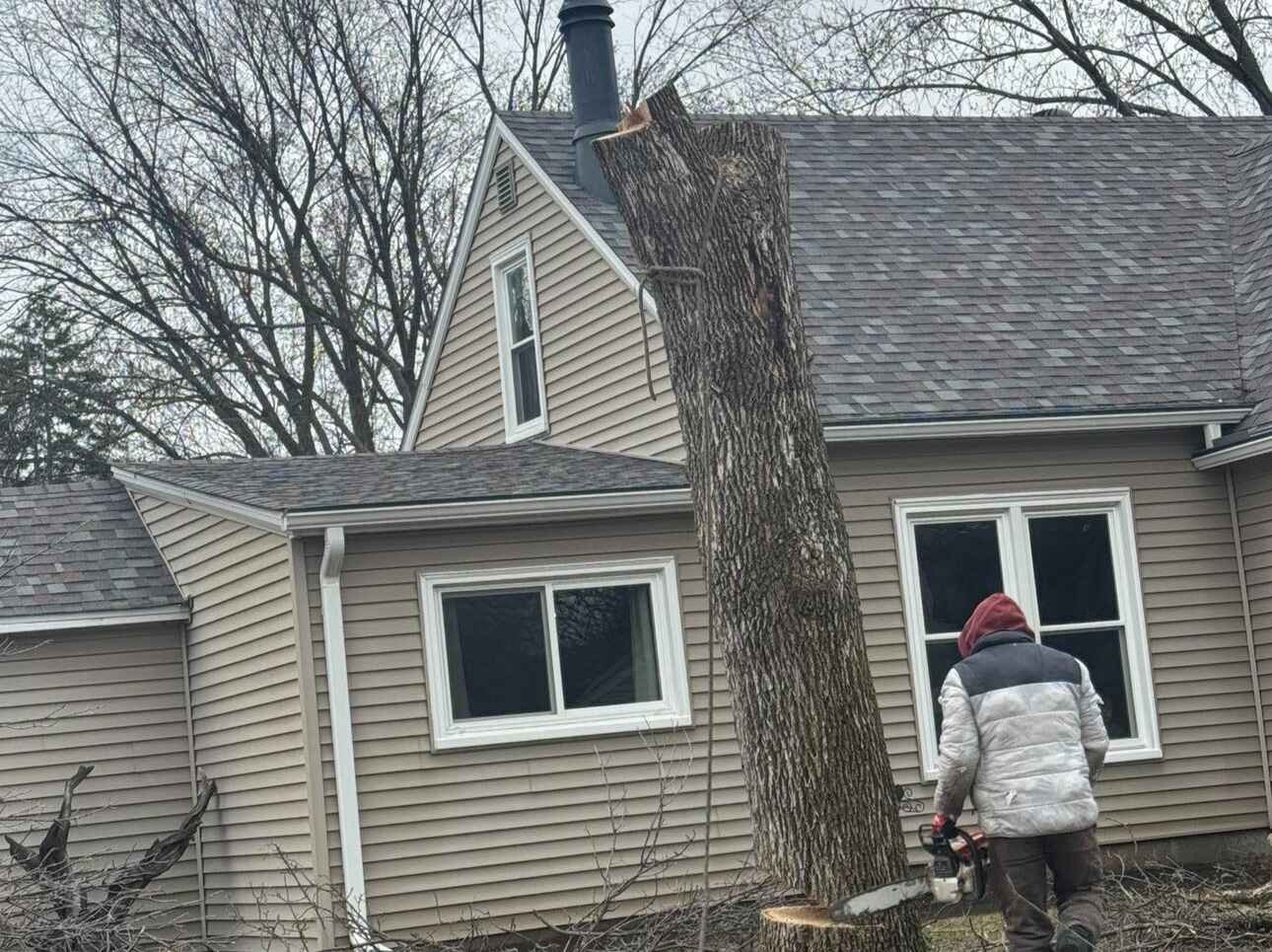 Geo Tree Services