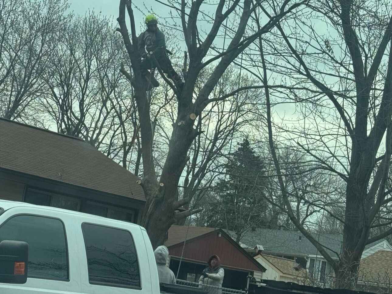 Geo Tree Services
