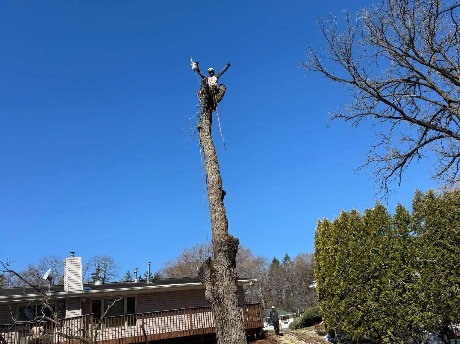 Geo Tree Services
