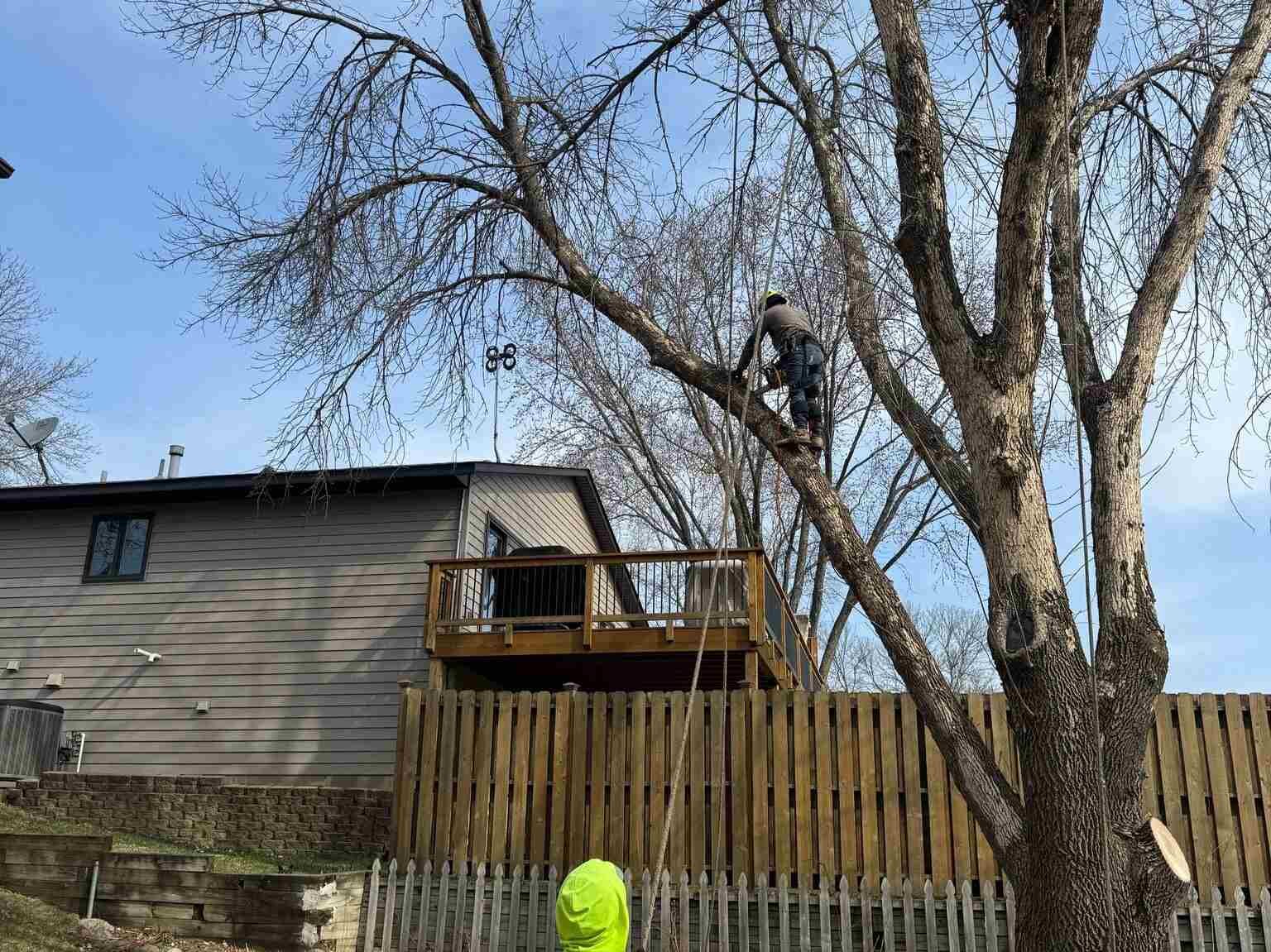 Geo Tree Services