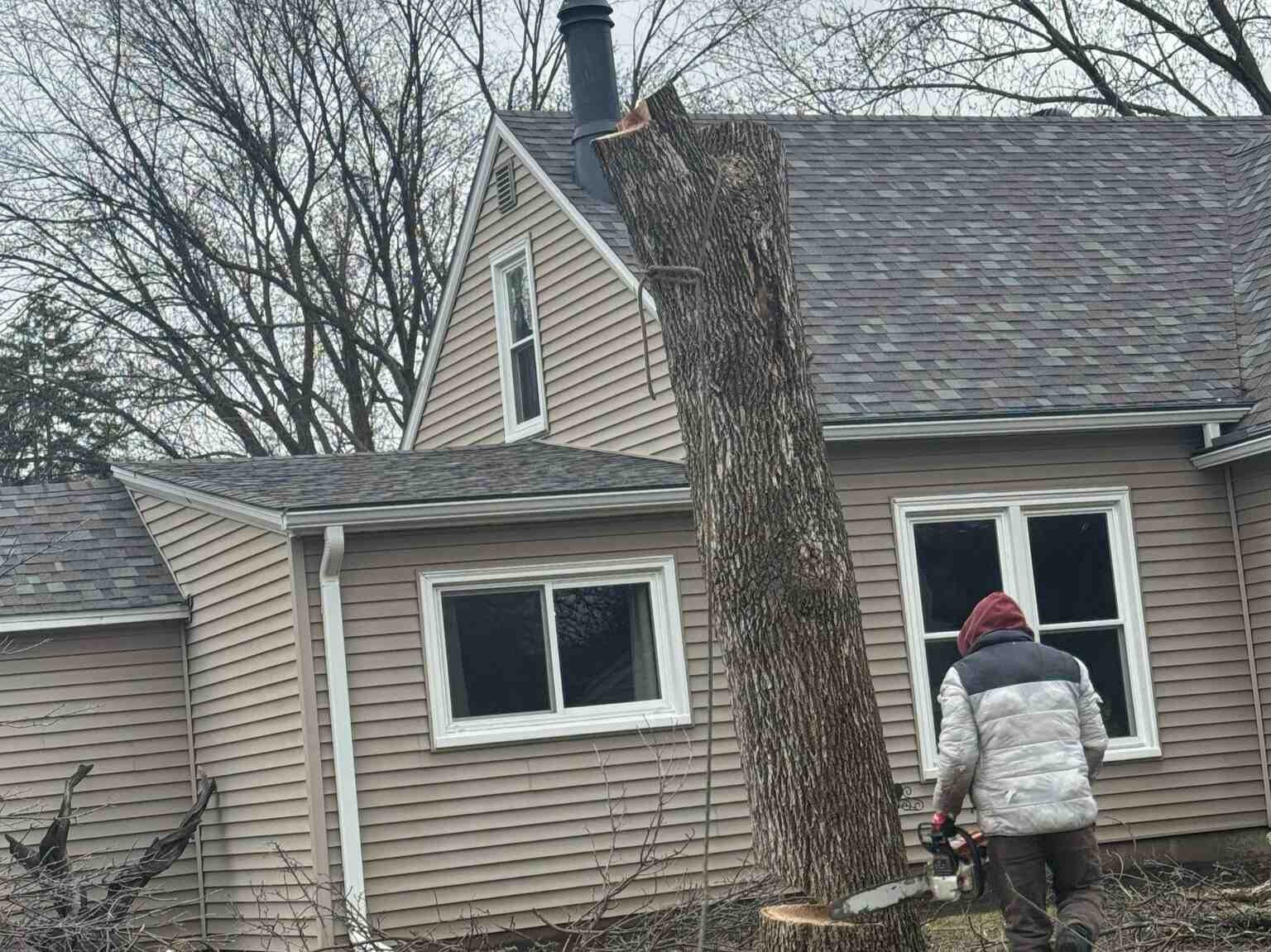 Geo Tree Services