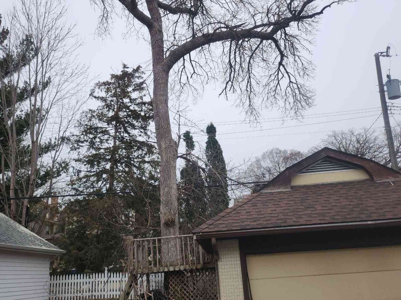 Geo Tree Services